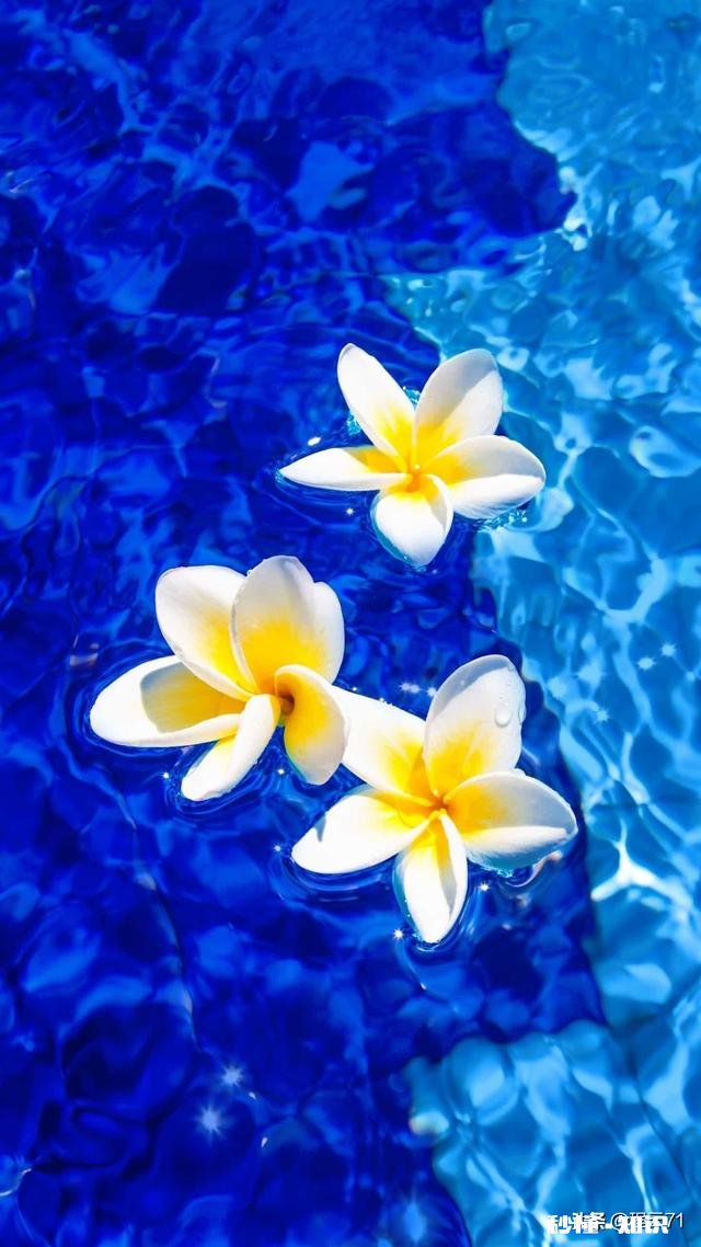 日本首相安倍晋三即将发表《紧急事态宣言》，这对于日本国民意味着什么