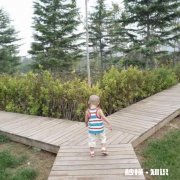 “后普京时代”俄罗斯将何去何从