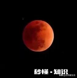 11.8日，今夜血月有什么影响真的很可怕吗