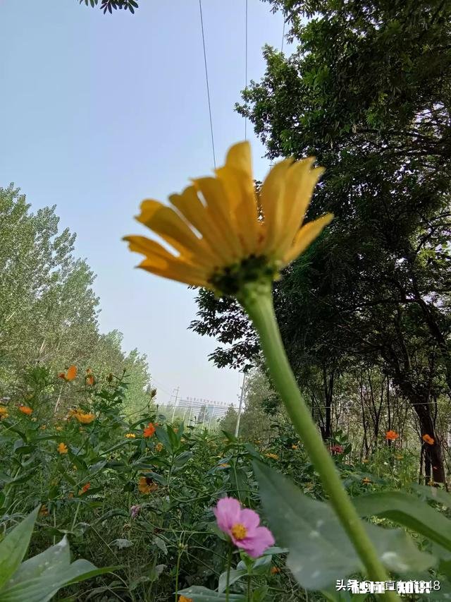 你们家的车会向外借吗借车的人自己家有车，在家放着，你怎么看