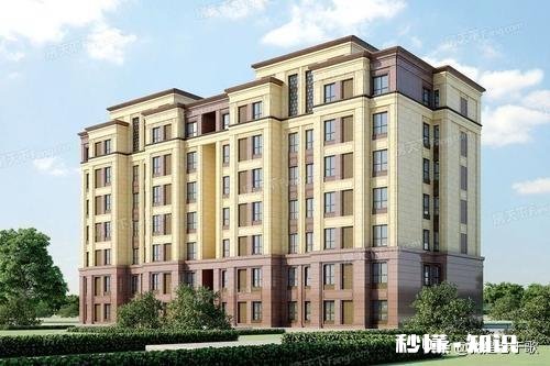 有大院子 共11层小高层，现只有一层和二层出售，买一楼好还是二楼好