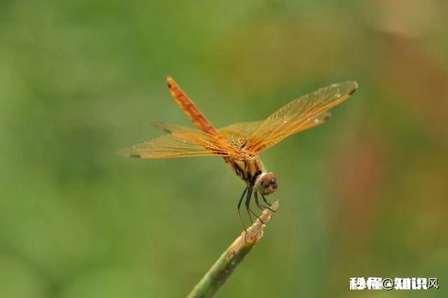 我最近过得很焦虑,胸口堵的慌不知道怎么办大家有什么好办法吗