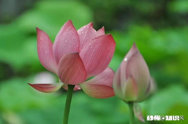 我最近过得很焦虑,胸口堵的慌不知道怎么办大家有什么好办法吗