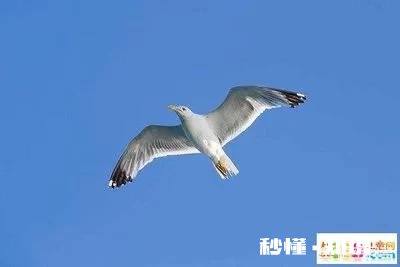 高考在即，大家能送点祝福语吗