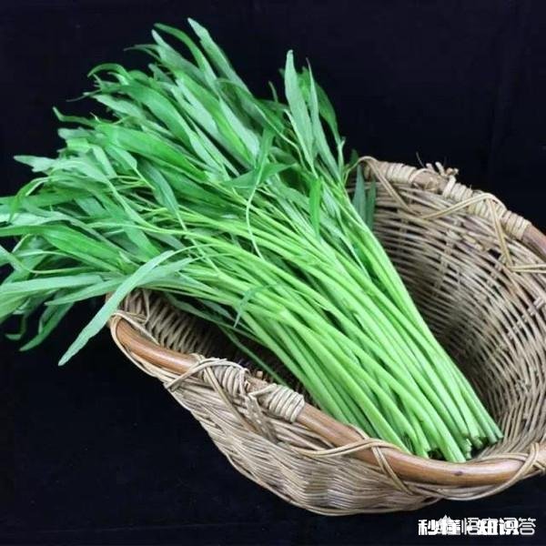 特别喜欢吃蔬菜，但是一些蔬菜农药太多，该怎么办呢