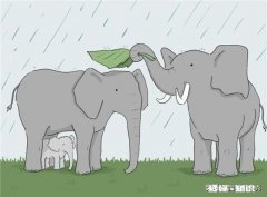 我在头条做的是Vlog领域，以前发的搞笑视频需要删吗有哪些运营建议