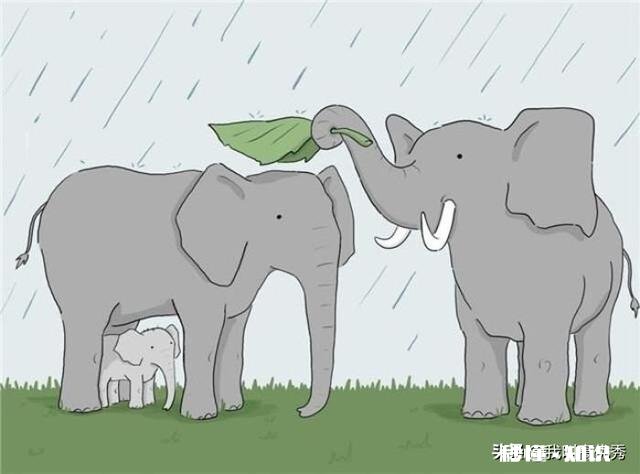 我在头条做的是Vlog领域，以前发的搞笑视频需要删吗有哪些运营建议