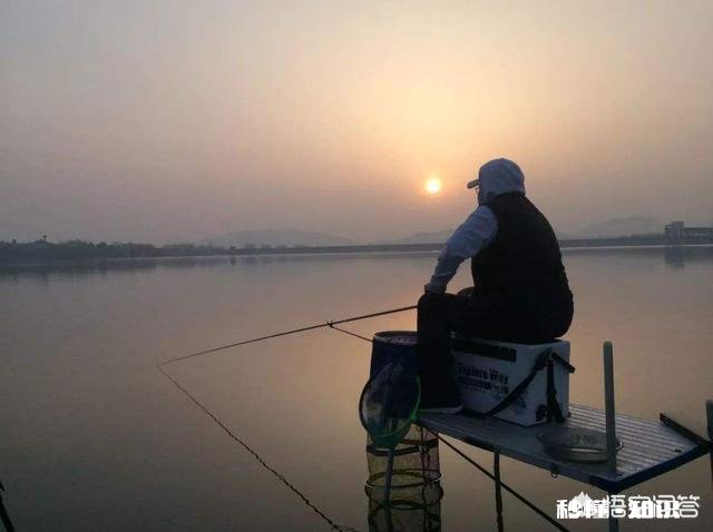 炎热天气如何高温钓鱼