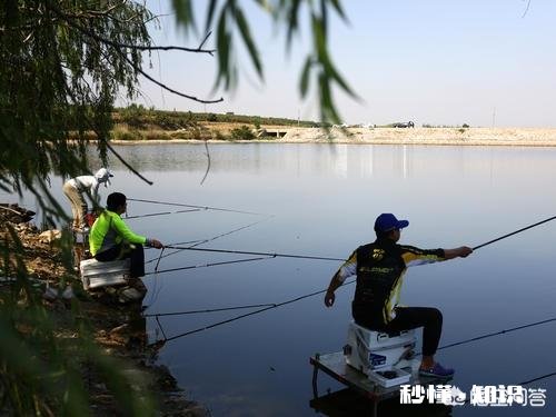 炎热天气如何高温钓鱼