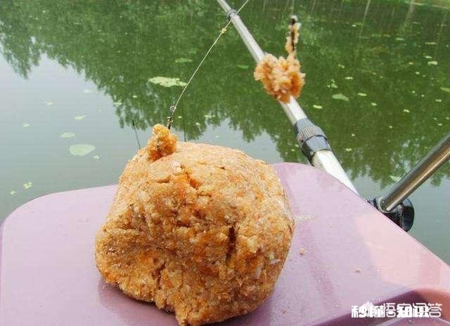 炎热天气如何高温钓鱼