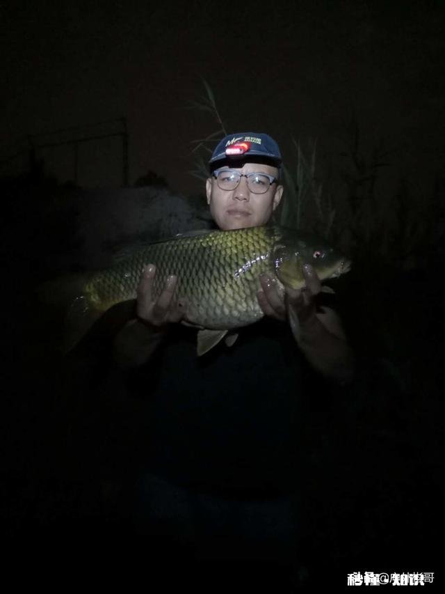 炎热天气如何高温钓鱼