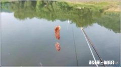 炎热天气如何高温钓鱼