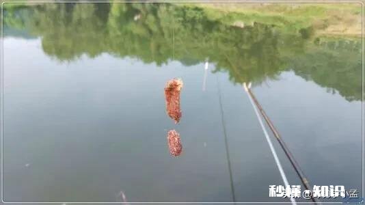 炎热天气如何高温钓鱼