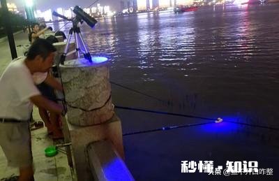 炎热天气如何高温钓鱼