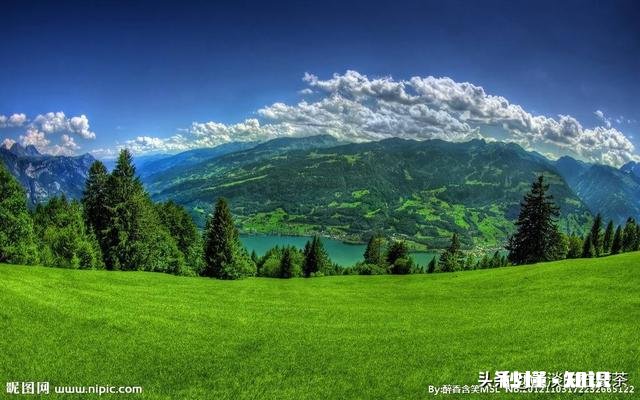 投资者如何成为“羊群里的狼”