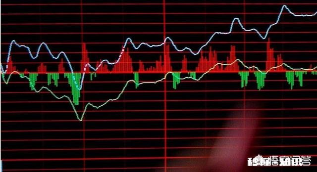 注册股票后如果有人推荐买股票,你会不会买