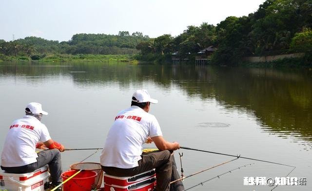急性子会吃亏吗为什么