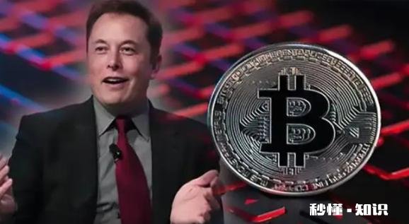 任命中国BTC玩家为新CEO，马斯克收购推特在下一盘什么棋