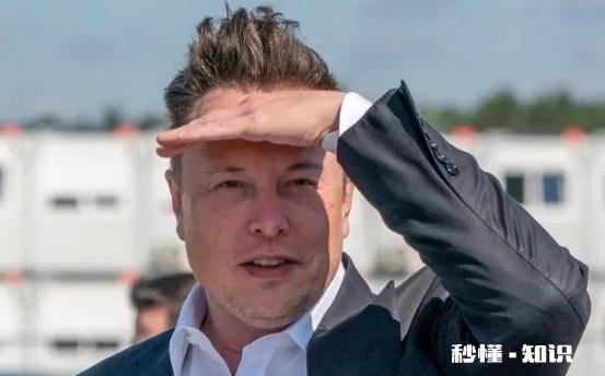 任命中国BTC玩家为新CEO，马斯克收购推特在下一盘什么棋