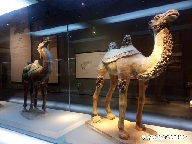 做一个摄影爱好者，你拍到过哪些即将失传的民间手工艺和非物质文化遗产