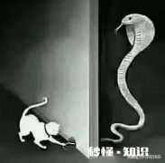 分手同班的难熬，有什么可以让自己静下心来的办法吗