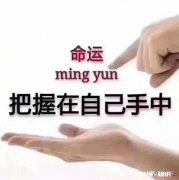 建筑行业的，不想待在工地，有一建，造价各种资格证，日子可以过得潇洒吗