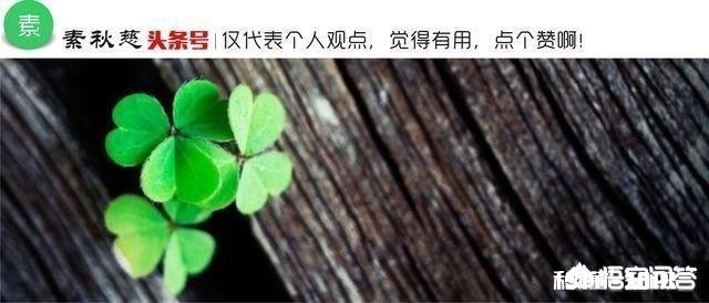 父母在你面前念叨别人的孩子多么优秀，拿你和别人的孩子作比较，这种时候你会怎么做