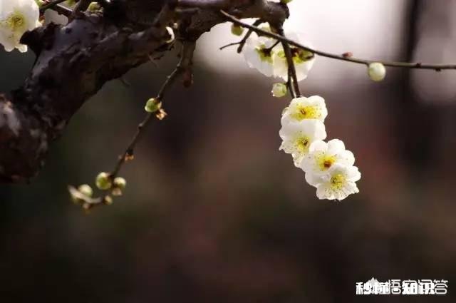 父母在你面前念叨别人的孩子多么优秀，拿你和别人的孩子作比较，这种时候你会怎么做