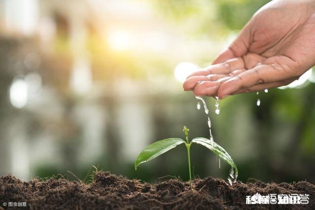 父母在你面前念叨别人的孩子多么优秀，拿你和别人的孩子作比较，这种时候你会怎么做