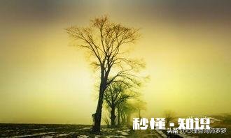 经常郁闷会不会得抑郁症怎么缓解好呢