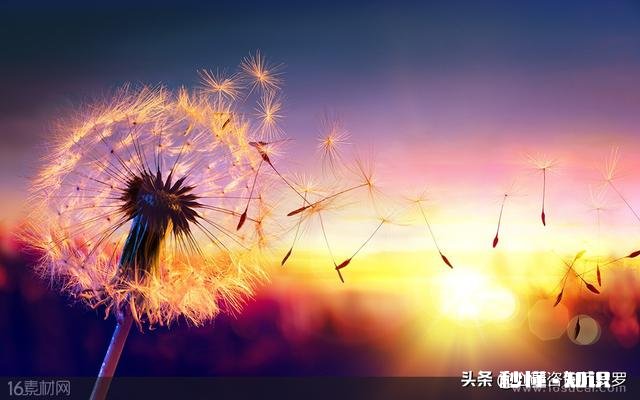 经常郁闷会不会得抑郁症怎么缓解好呢