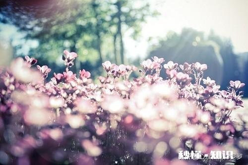 经常郁闷会不会得抑郁症怎么缓解好呢