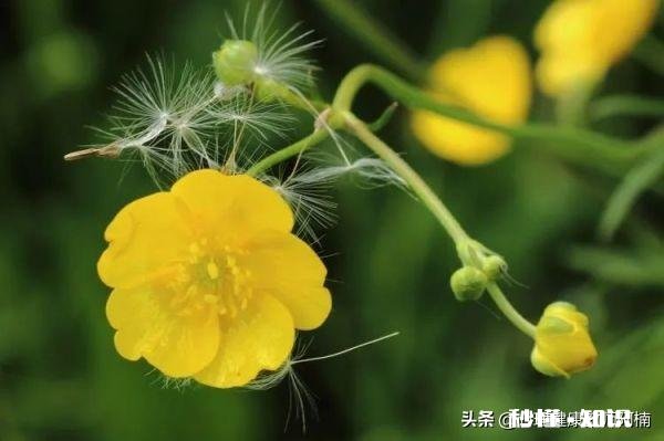 经常郁闷会不会得抑郁症怎么缓解好呢