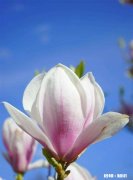 人生，权利多还是义务多