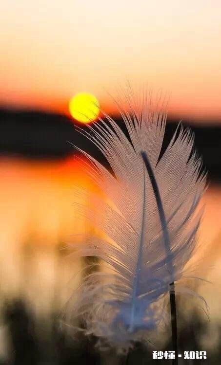 人生,权利多还是义务多