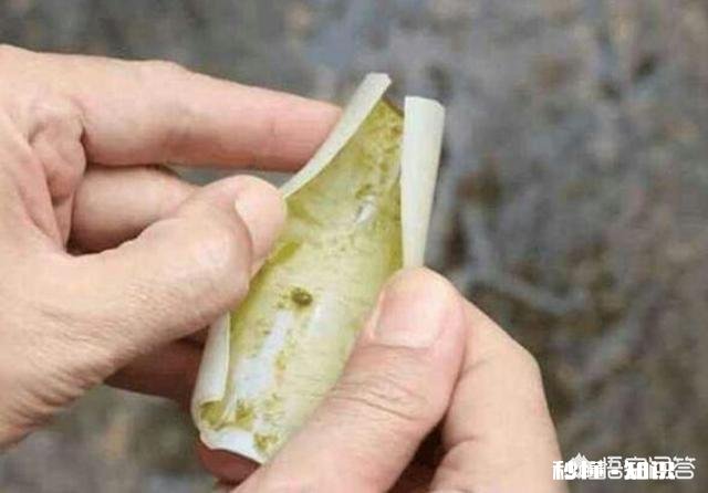 自来水管道如何清洗