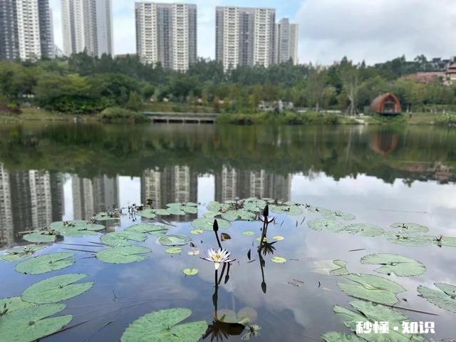 高三学生压力大，晚上睡眠不好，作为家人，应该怎么帮助他改善呢