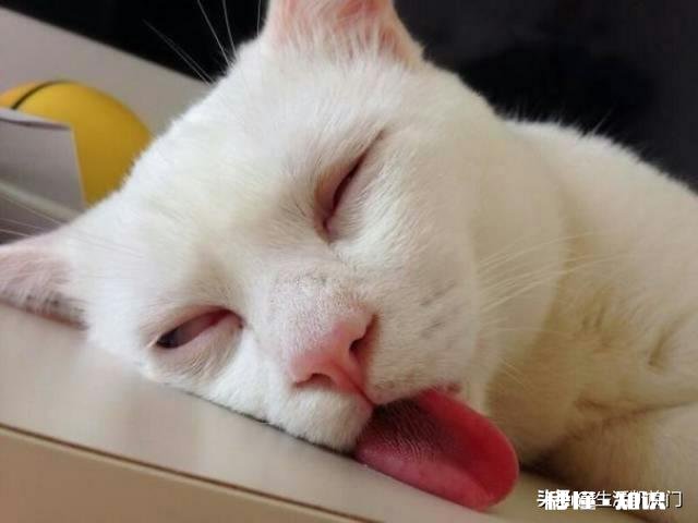 工作需要应酬怎么办，有哪些需要注意的