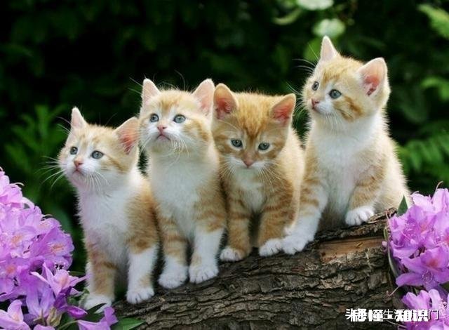 工作需要应酬怎么办，有哪些需要注意的