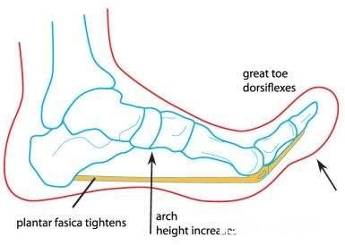 早晨落地第一脚疼痛难忍，医生查出跟骨骨刺，患者将来还能走路吗