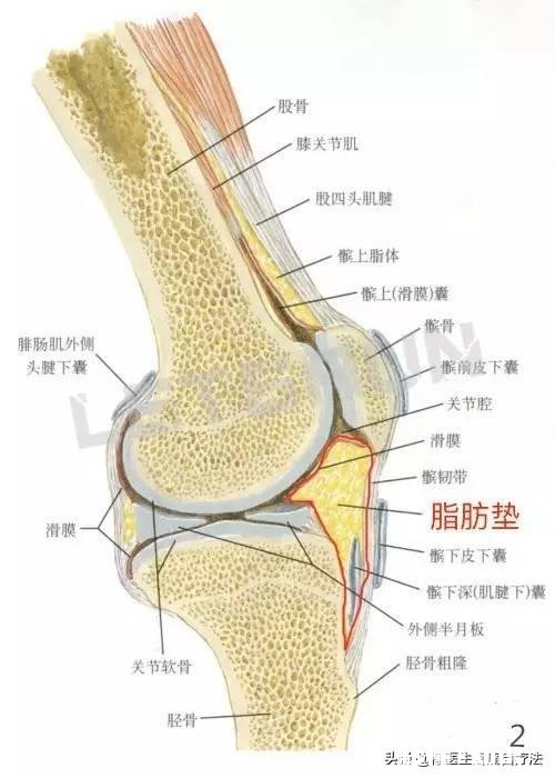 早晨落地第一脚疼痛难忍，医生查出跟骨骨刺，患者将来还能走路吗