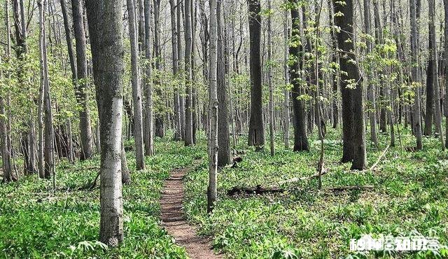 伦敦发生爆炸，难道是恐袭来临