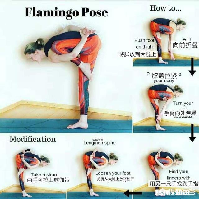 瑜伽火烈鸟式的正确练习方式是怎样的