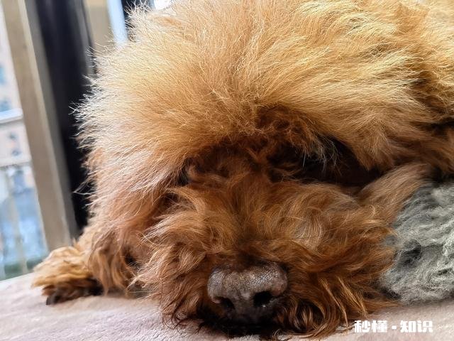 刘晓庆卖字讲明了什么她的笔墨价格高吗