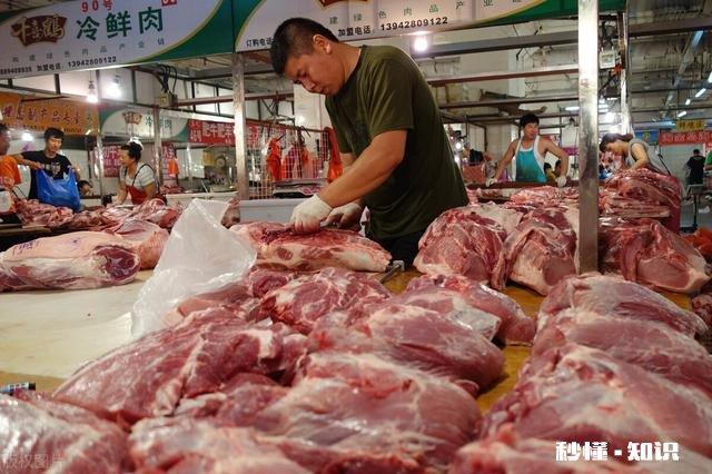 元旦、春节猪肉价格迎来新的“高点”猪价能否被带动