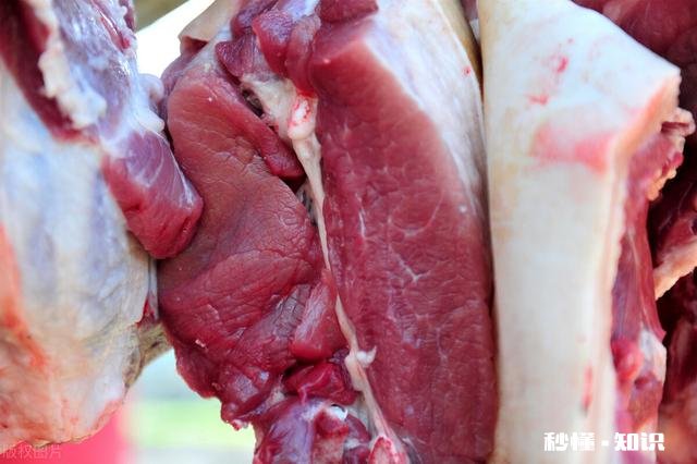 元旦、春节猪肉价格迎来新的“高点”猪价能否被带动