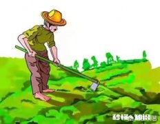 有些农民饮食并不是很注重卫生，但为什么都能长寿