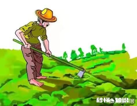 有些农民饮食并不是很注重卫生，但为什么都能长寿