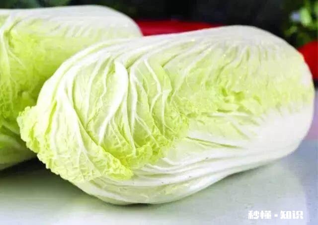 炖羊肉要放哪些配菜，有哪些最佳配菜