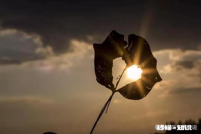 连续两个梦,都是分手快十年的她,难到这就是终生难忘的记忆吗该怎么办